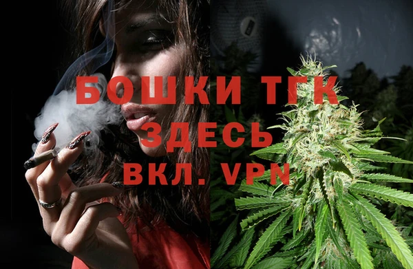 гашик Богородицк
