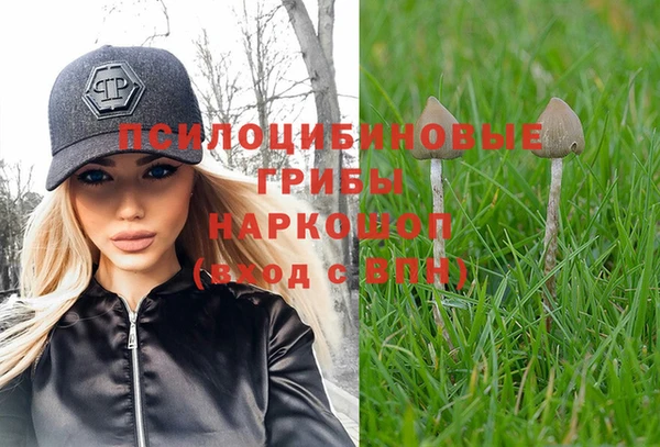 гашик Богородицк