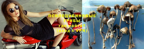 гашик Богородицк