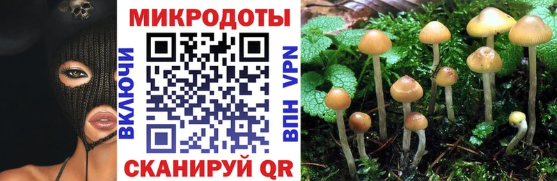 Галлюциногенные грибы мицелий  где купить наркотик  hydra онион  Полтавская 